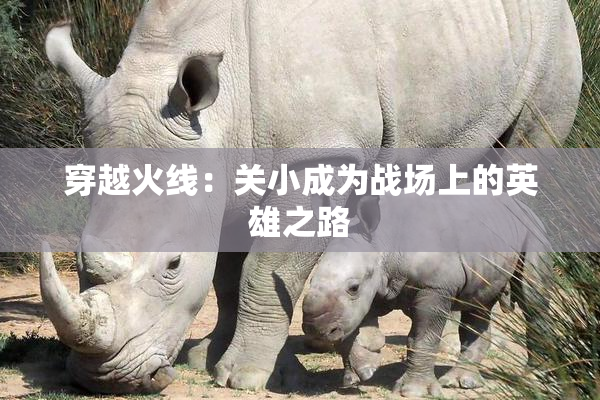 穿越火线：关小成为战场上的英雄之路