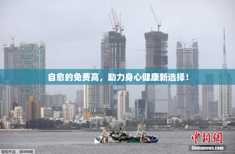 自愈的免费高，助力身心健康新选择！