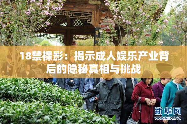 18禁裸影：揭示成人娱乐产业背后的隐秘真相与挑战