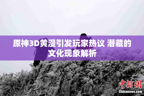 原神3D黄漫引发玩家热议 潜藏的文化现象解析