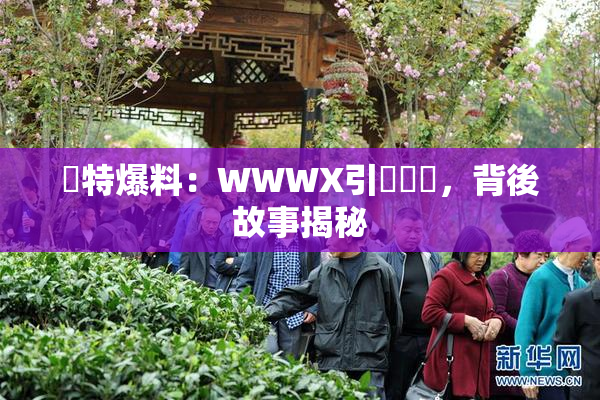 獨特爆料：WWWX引發熱議，背後故事揭秘