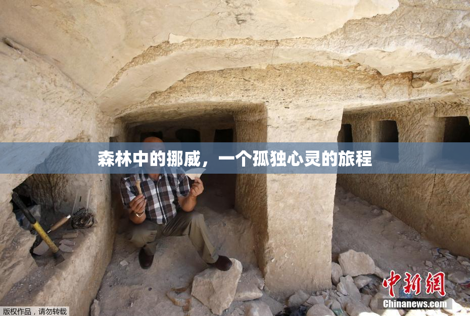 森林中的挪威，一个孤独心灵的旅程