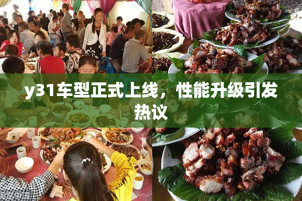 y31车型正式上线，性能升级引发热议