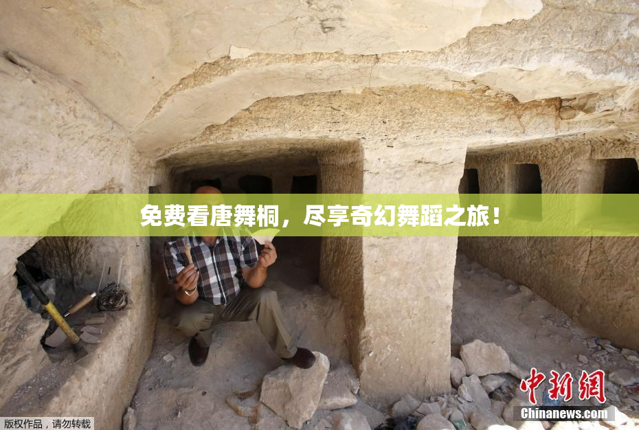 免费看唐舞桐，尽享奇幻舞蹈之旅！