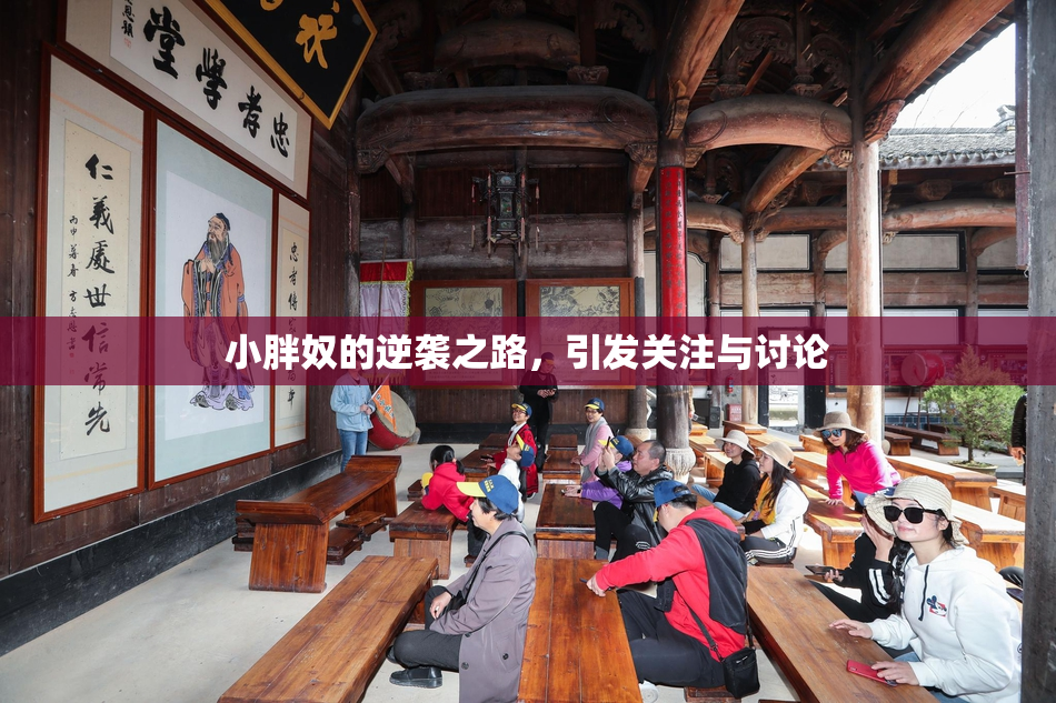 小胖奴的逆袭之路，引发关注与讨论