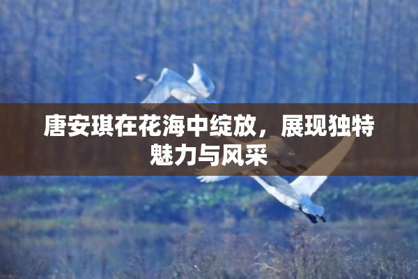 唐安琪在花海中绽放，展现独特魅力与风采
