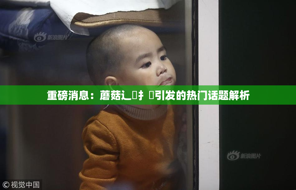 重磅消息：蘑菇辶喿扌畐引发的热门话题解析