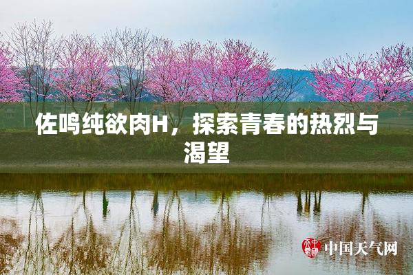 佐鸣纯欲肉H，探索青春的热烈与渴望