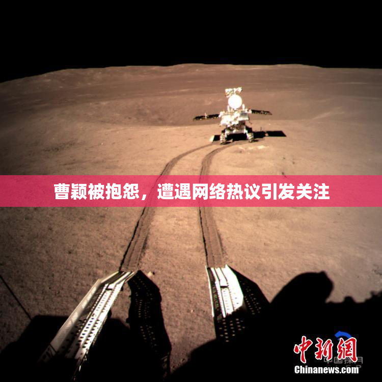 曹颖被抱怨，遭遇网络热议引发关注