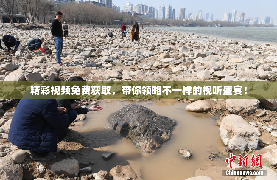 精彩视频免费获取，带你领略不一样的视听盛宴！