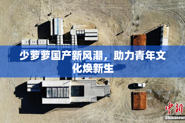 少萝萝国产新风潮，助力青年文化焕新生