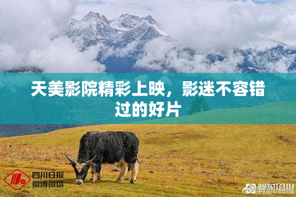 天美影院精彩上映，影迷不容错过的好片