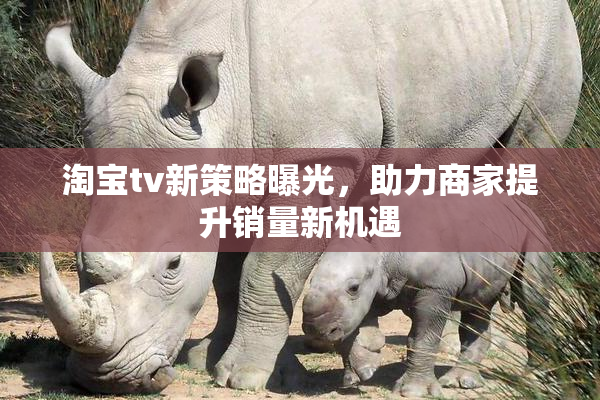 淘宝tv新策略曝光，助力商家提升销量新机遇