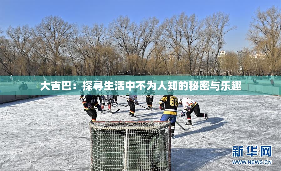 大吉巴：探寻生活中不为人知的秘密与乐趣
