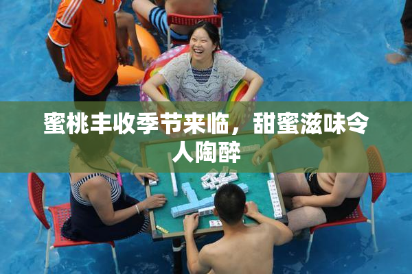 蜜桃丰收季节来临，甜蜜滋味令人陶醉