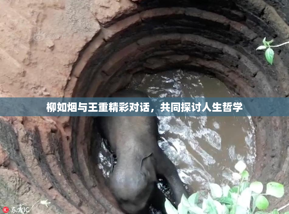 柳如烟与王重精彩对话，共同探讨人生哲学