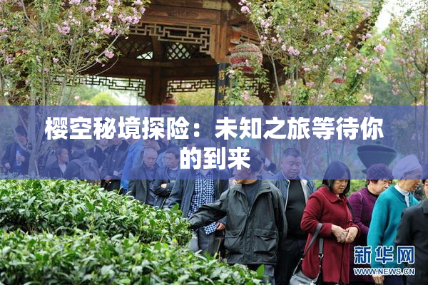 樱空秘境探险：未知之旅等待你的到来