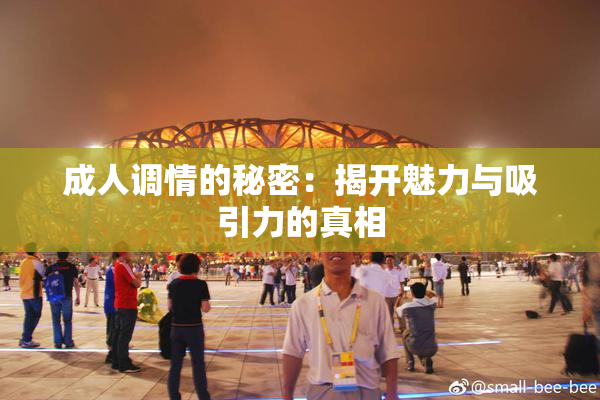 成人调情的秘密：揭开魅力与吸引力的真相