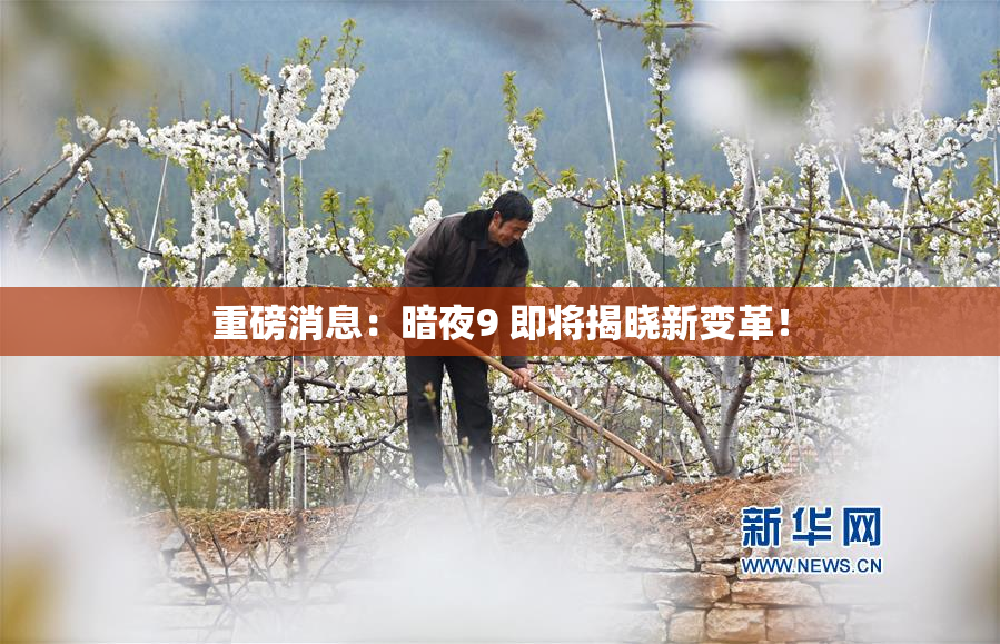 重磅消息：暗夜9 即将揭晓新变革！