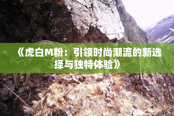 《虎白M粉：引领时尚潮流的新选择与独特体验》