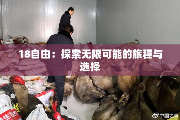 18自由：探索无限可能的旅程与选择