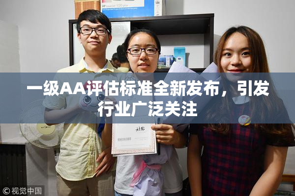 一级AA评估标准全新发布，引发行业广泛关注