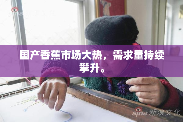 国产香蕉市场大热，需求量持续攀升。