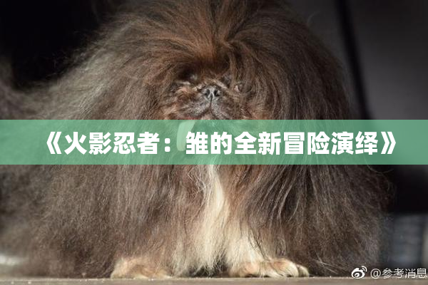 《火影忍者：雏的全新冒险演绎》