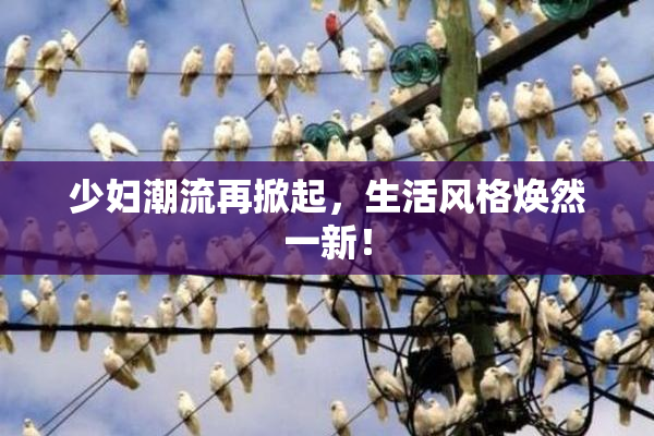 少妇潮流再掀起，生活风格焕然一新！