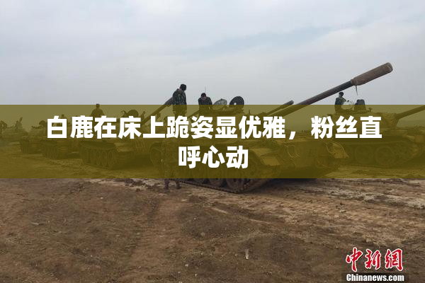 白鹿在床上跪姿显优雅，粉丝直呼心动