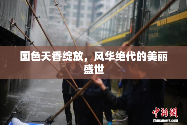 国色天香绽放，风华绝代的美丽盛世