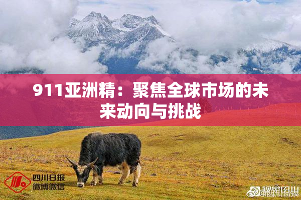 911亚洲精：聚焦全球市场的未来动向与挑战