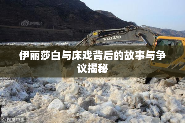 伊丽莎白与床戏背后的故事与争议揭秘
