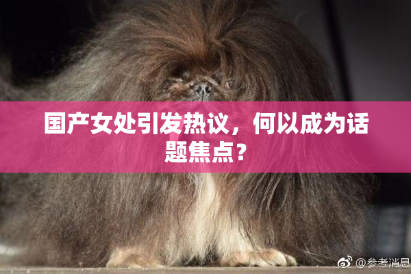 国产女处引发热议，何以成为话题焦点？