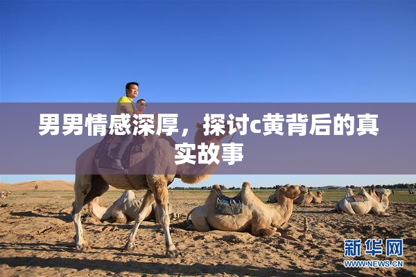 男男情感深厚，探讨c黄背后的真实故事