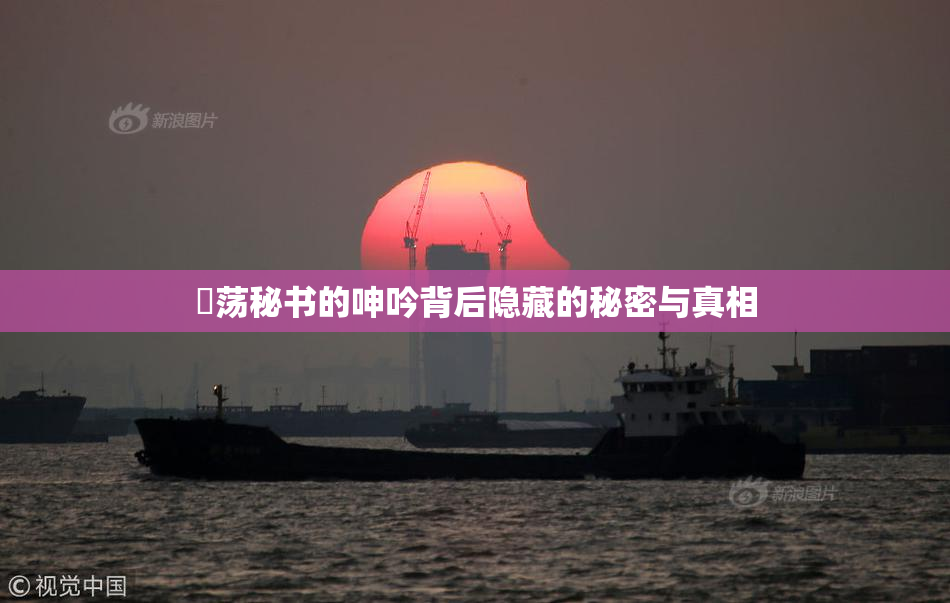 婬荡秘书的呻吟背后隐藏的秘密与真相