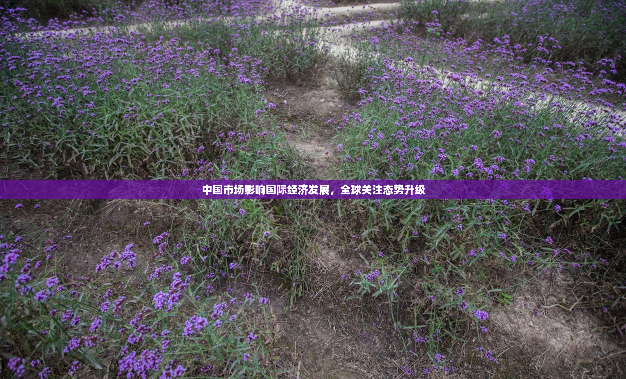 中国市场影响国际经济发展，全球关注态势升级