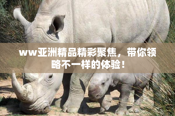 ww亚洲精品精彩聚焦，带你领略不一样的体验！