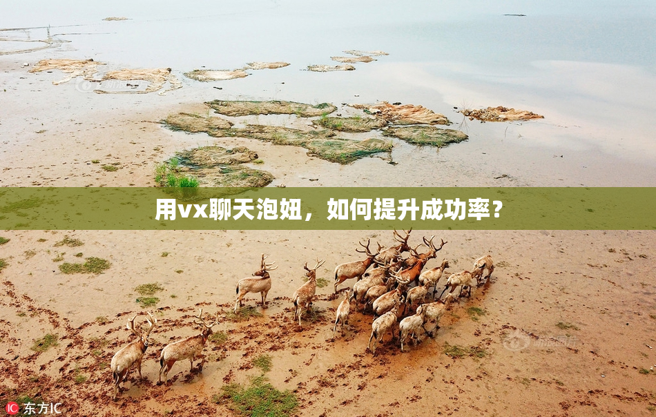 用vx聊天泡妞，如何提升成功率？