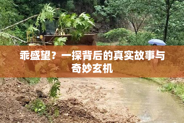 乖盛望？一探背后的真实故事与奇妙玄机