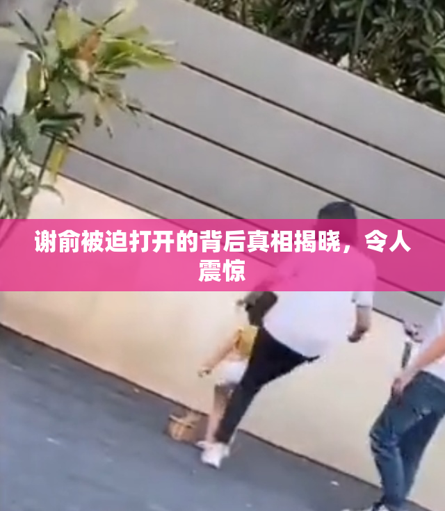 谢俞被迫打开的背后真相揭晓，令人震惊