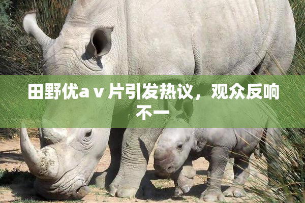 田野优aⅴ片引发热议，观众反响不一