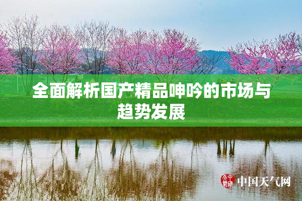 全面解析国产精品呻吟的市场与趋势发展