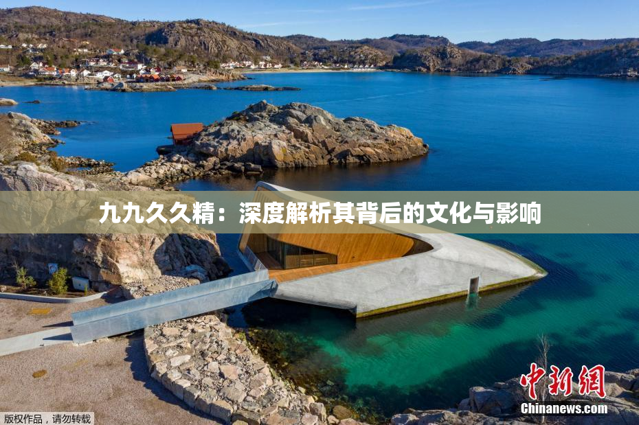 九九久久精：深度解析其背后的文化与影响