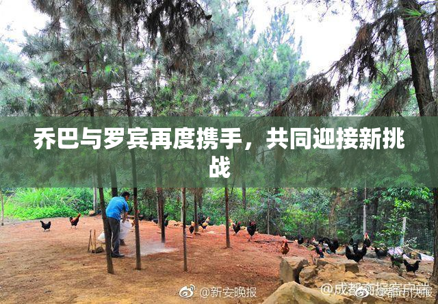 乔巴与罗宾再度携手，共同迎接新挑战