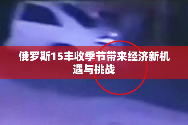 俄罗斯15丰收季节带来经济新机遇与挑战