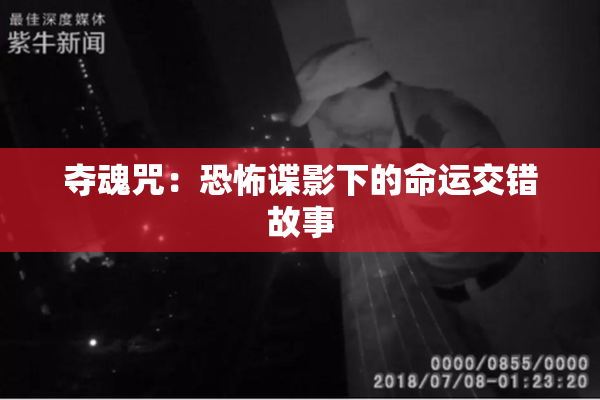 夺魂咒：恐怖谍影下的命运交错故事