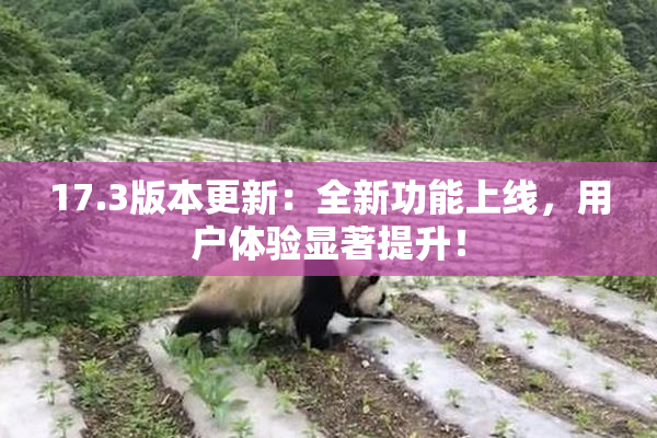 17.3版本更新：全新功能上线，用户体验显著提升！