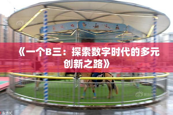 《一个B三：探索数字时代的多元创新之路》