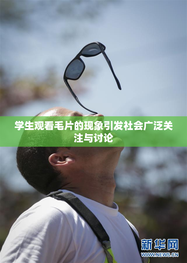 学生观看毛片的现象引发社会广泛关注与讨论